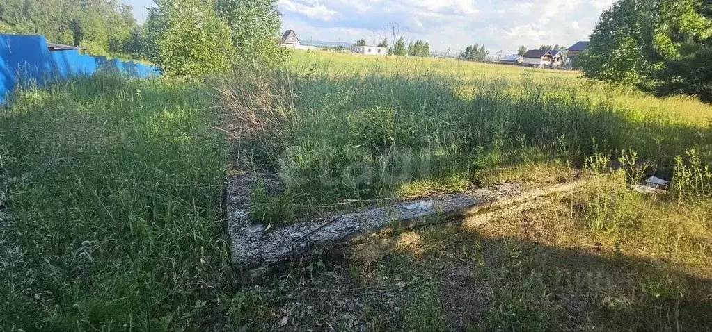 Участок в Красноярский край, Сосновоборский муниципальный округ, с. ... - Фото 2