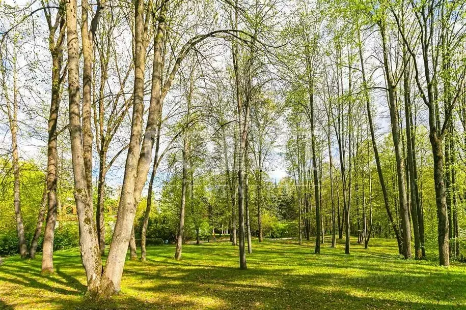 Участок в Московская область, Одинцовский городской округ, д. Калчуга  ... - Фото 0