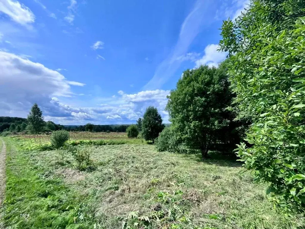 Участок в Московская область, Можайский муниципальный округ, ... - Фото 2