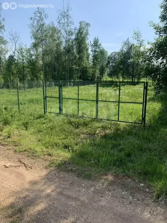 Участок в Выборгский район, Первомайское сельское поселение, ... - Фото 2