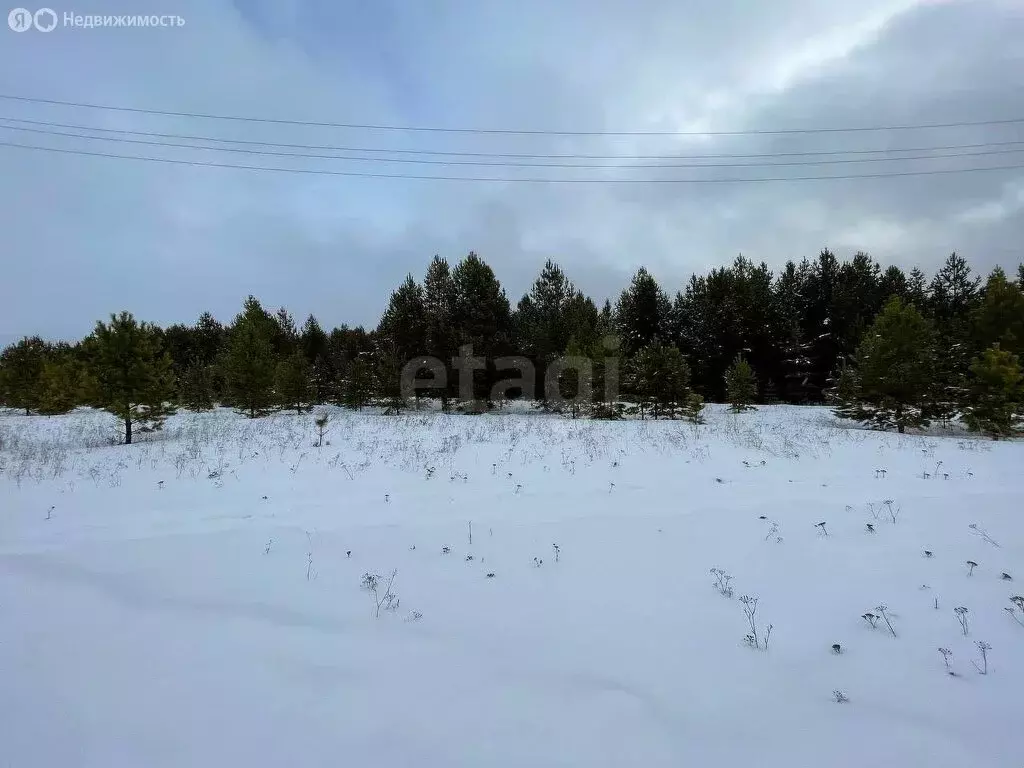 Участок в Тугулымский городской округ, деревня Филина, Молодёжная ... - Фото 0