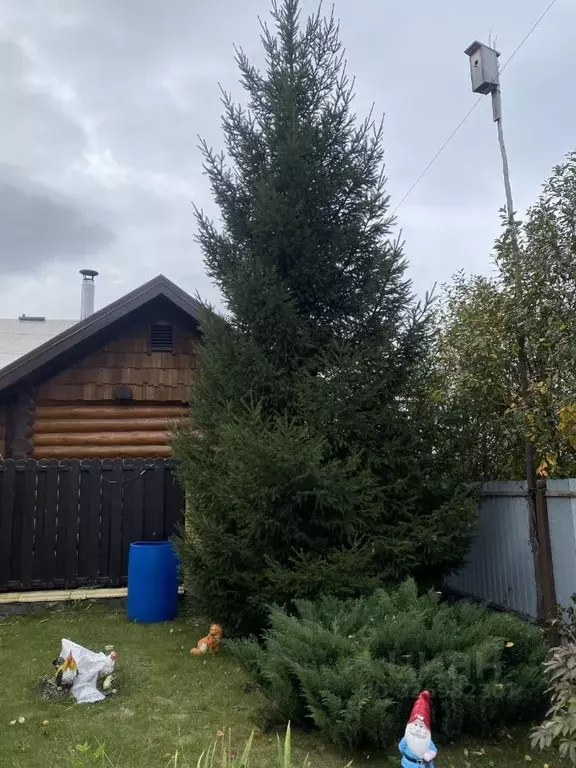 Таунхаус в Омская область, Омский район муниципальный округ, с. ... - Фото 2