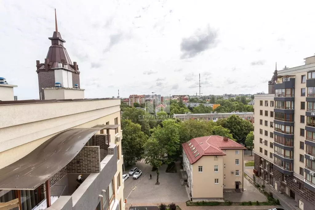 1-к кв. Калининградская область, Калининград ул. Космонавта Леонова, ... - Фото 1