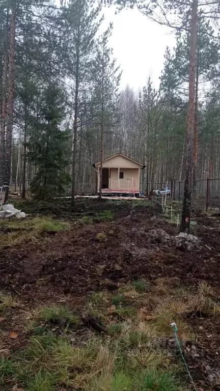 Дом в Ленинградская область, Всеволожское городское поселение, СОСН ... - Фото 1