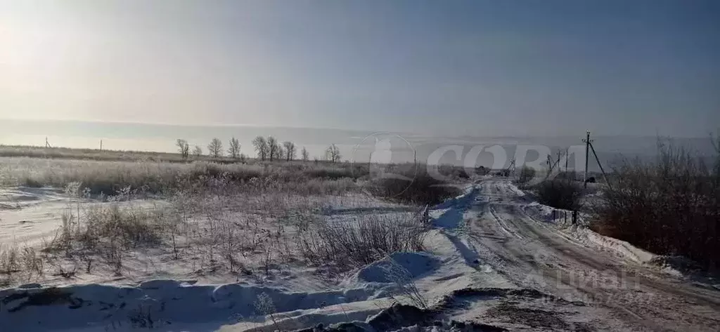 Участок в Тюменская область, с. Ярково  (3840.0 сот.) - Фото 2