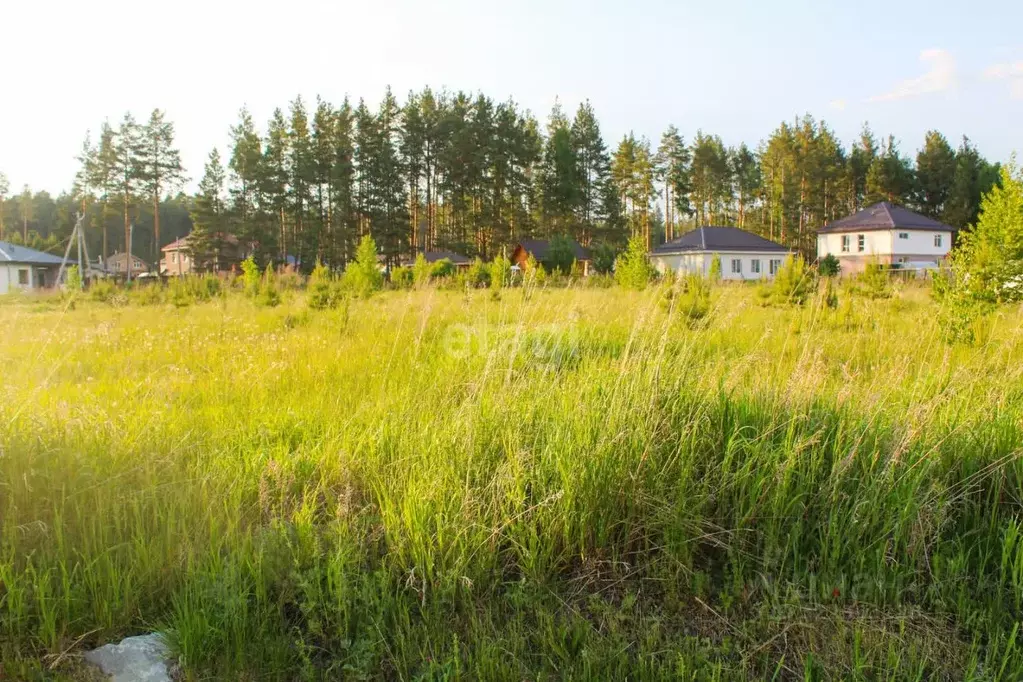 Участок в Свердловская область, Сысертский муниципальный округ, Клевер ... - Фото 1