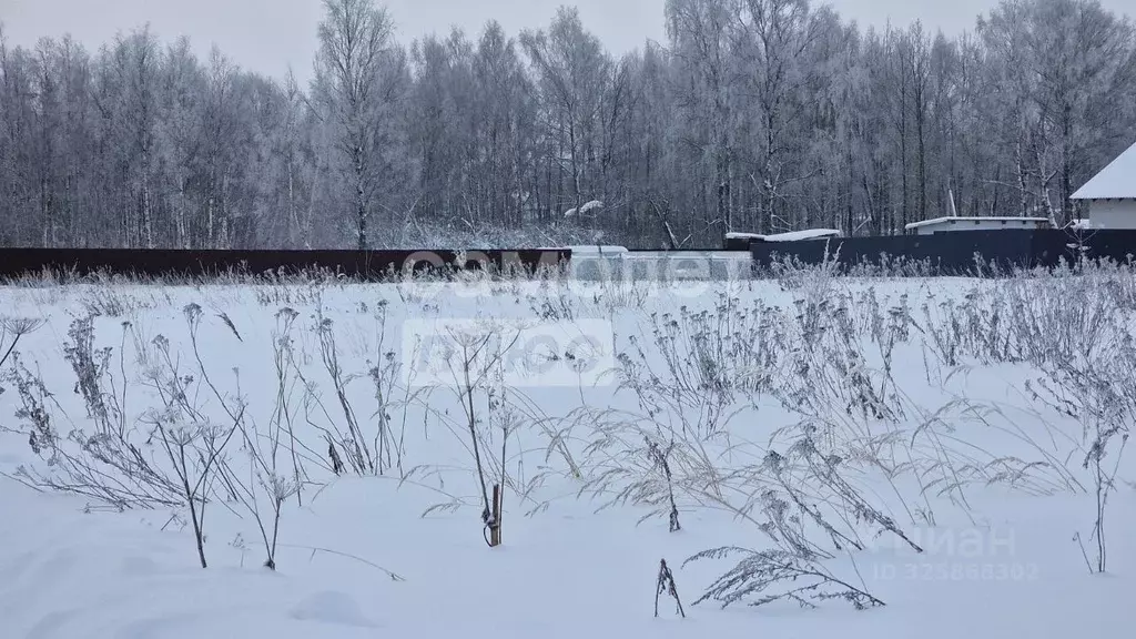 Участок в Московская область, Дмитровский муниципальный округ, д. ... - Фото 1