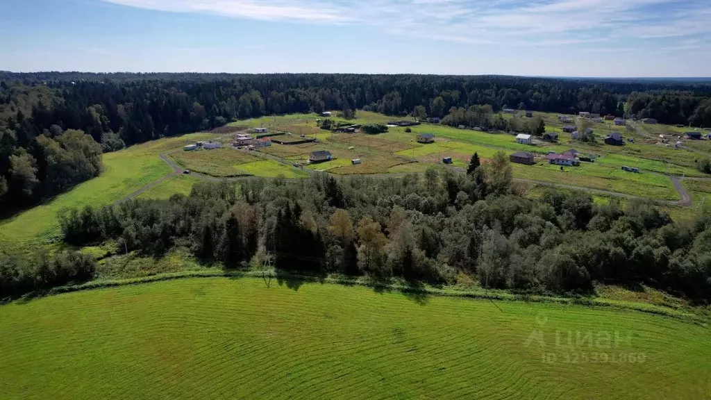Участок в Московская область, Истра муниципальный округ, д. Давыдково  ... - Фото 2