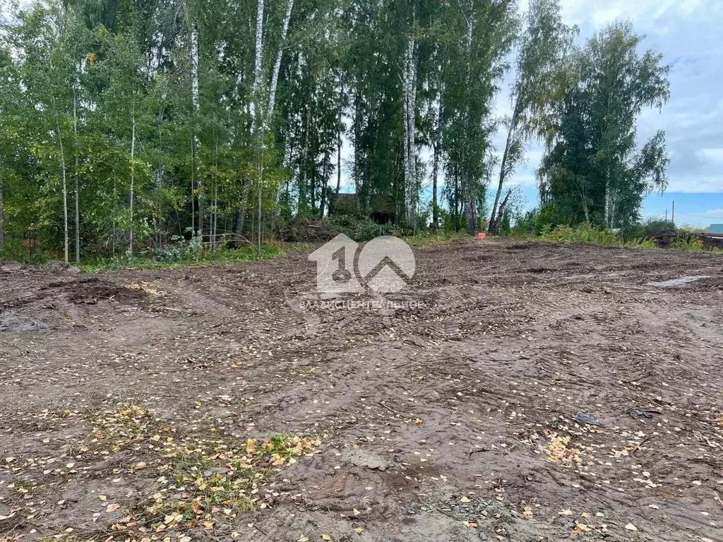 Участок в Новосибирская область, Новосибирский район, Барышевский ... - Фото 1