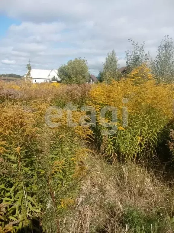 Участок в Брянская область, Брянский район, Мичуринское с/пос, д. ... - Фото 2