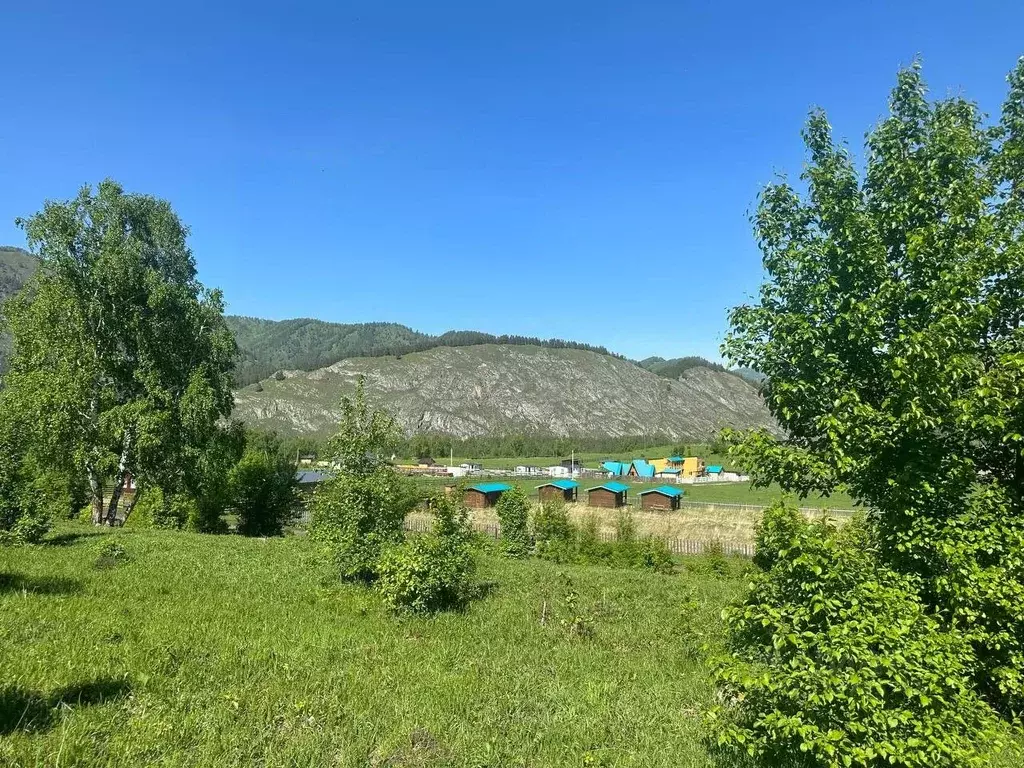 Участок в Алтай, Чемальский район, Аносинское с/пос  (15.68 сот.) - Фото 0