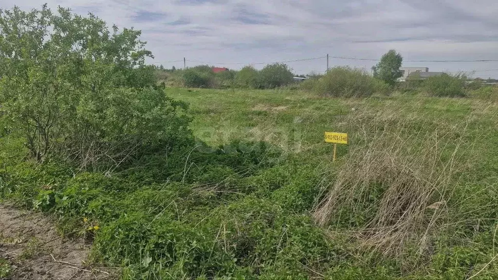 Участок в Тюменская область, Тюмень Царево садовое товарищество, ул. ... - Фото 1