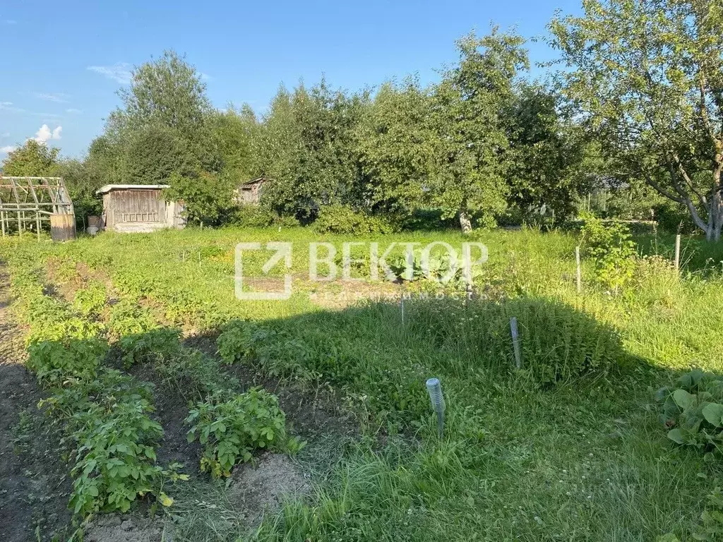 Дом в Костромская область, Костромской район, Бакшеевское с/пос, ... - Фото 2