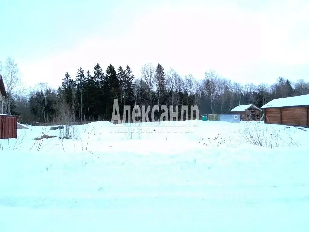 Участок в Ленинградская область, Ломоносовский район, Лопухинское ... - Фото 0