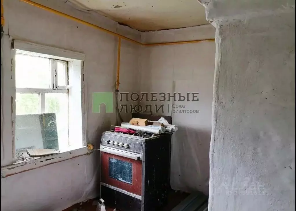 Дом в Татарстан, Зеленодольский район, Нижние Вязовые муниципальное ... - Фото 2