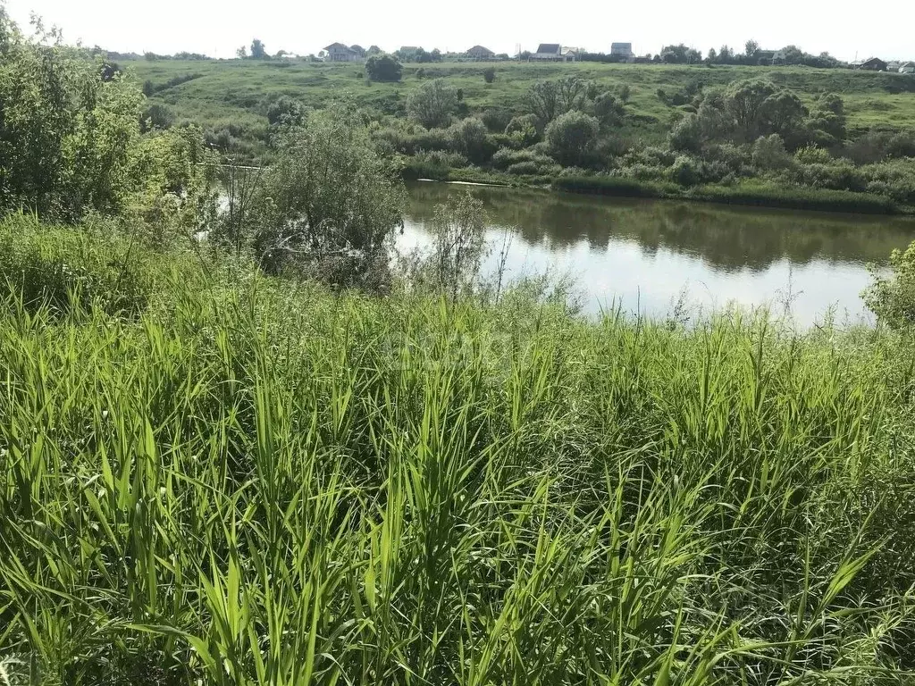 Купить Участок В Воронеже Рамонский Район