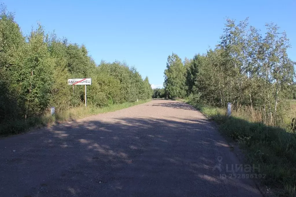 Участок в Псковская область, Гдов городское поселение, д. Бакин Конец  ... - Фото 1