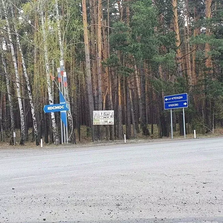 Участок в Курганская область, Кетовский муниципальный округ, с. ... - Фото 2