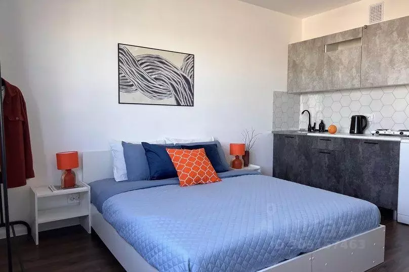 1-к кв. Санкт-Петербург просп. Большевиков, 68к1 (20.0 м) - Фото 2