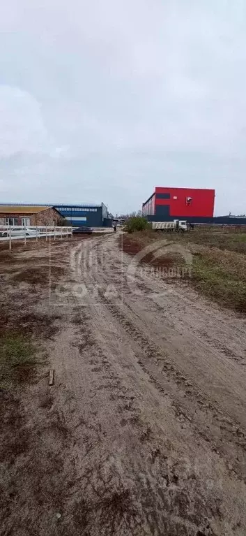 Участок в Воронежская область, Рамонский район, с. Ямное ул. ... - Фото 1