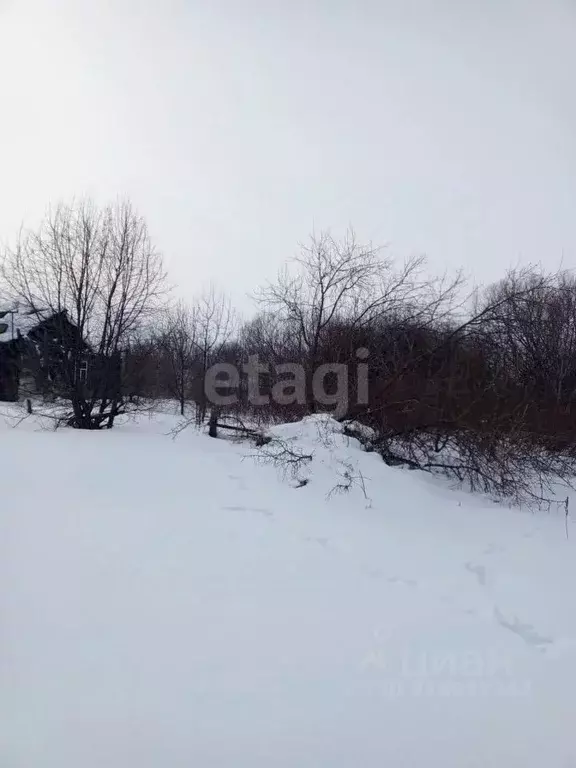 Участок в Алтайский край, Алтайский район, с. Нижнекаменка Сибирский ... - Фото 1