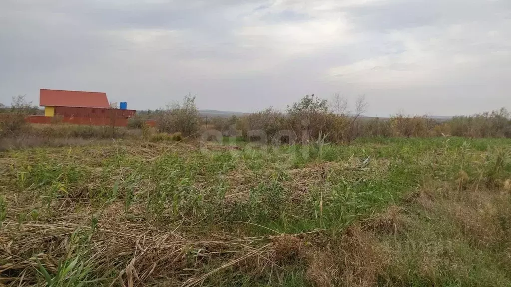 Участок в Крым, Феодосия муниципальный округ, с. Насыпное ул. ... - Фото 1