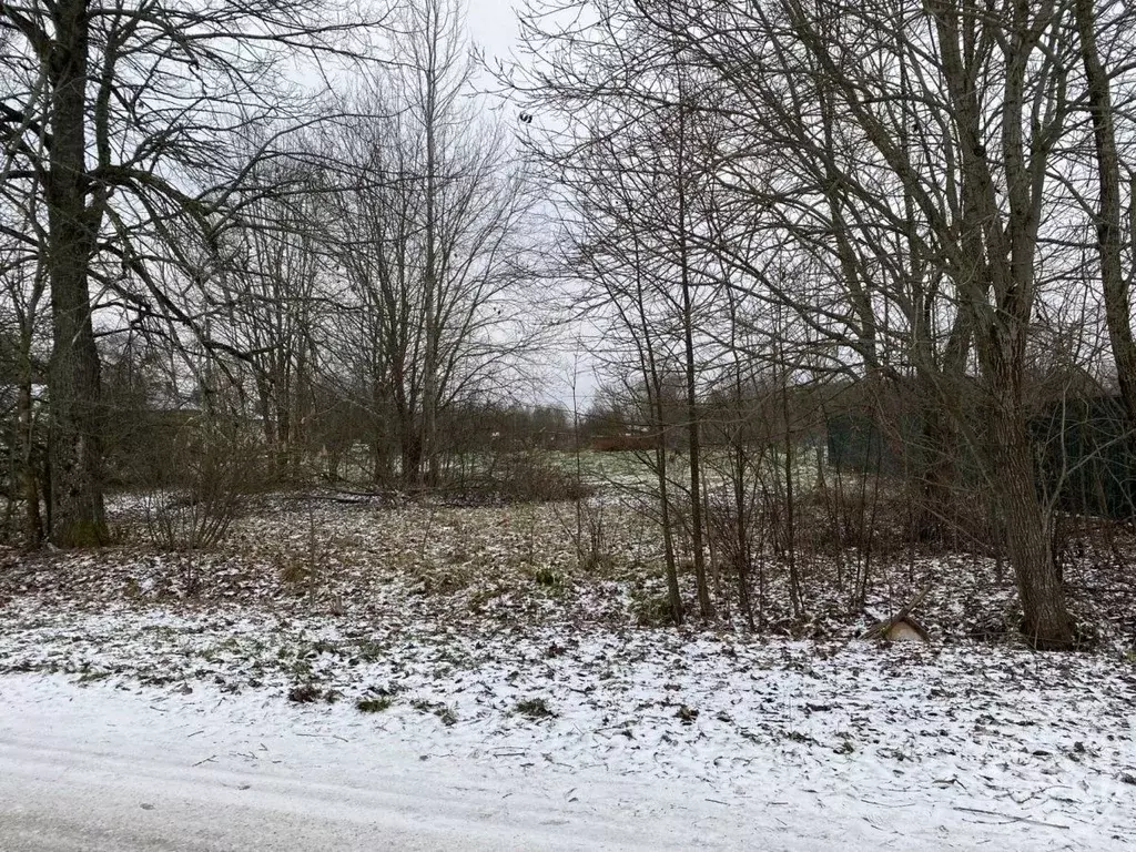 Участок в Ленинградская область, Лужский район, Володарское с/пос, д. ... - Фото 1