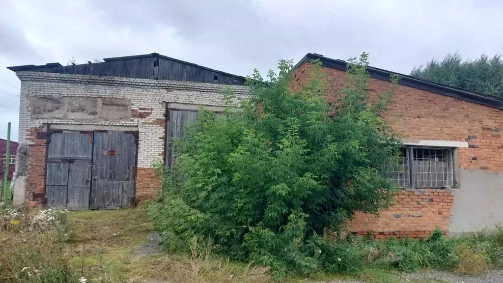 Помещение свободного назначения в Курганская область, Каргаполье рп ... - Фото 0