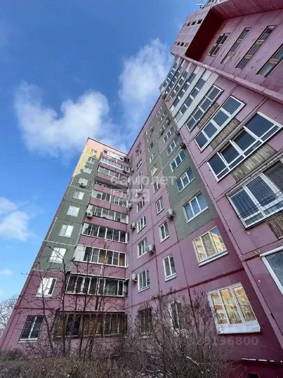 1-к кв. Омская область, Омск Омская ул., 117 (52.5 м) - Фото 2