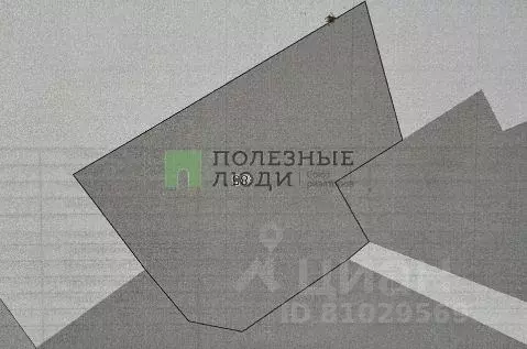 Участок в Амурская область, Благовещенск Эфир СНТ,  (10.9 сот.) - Фото 2