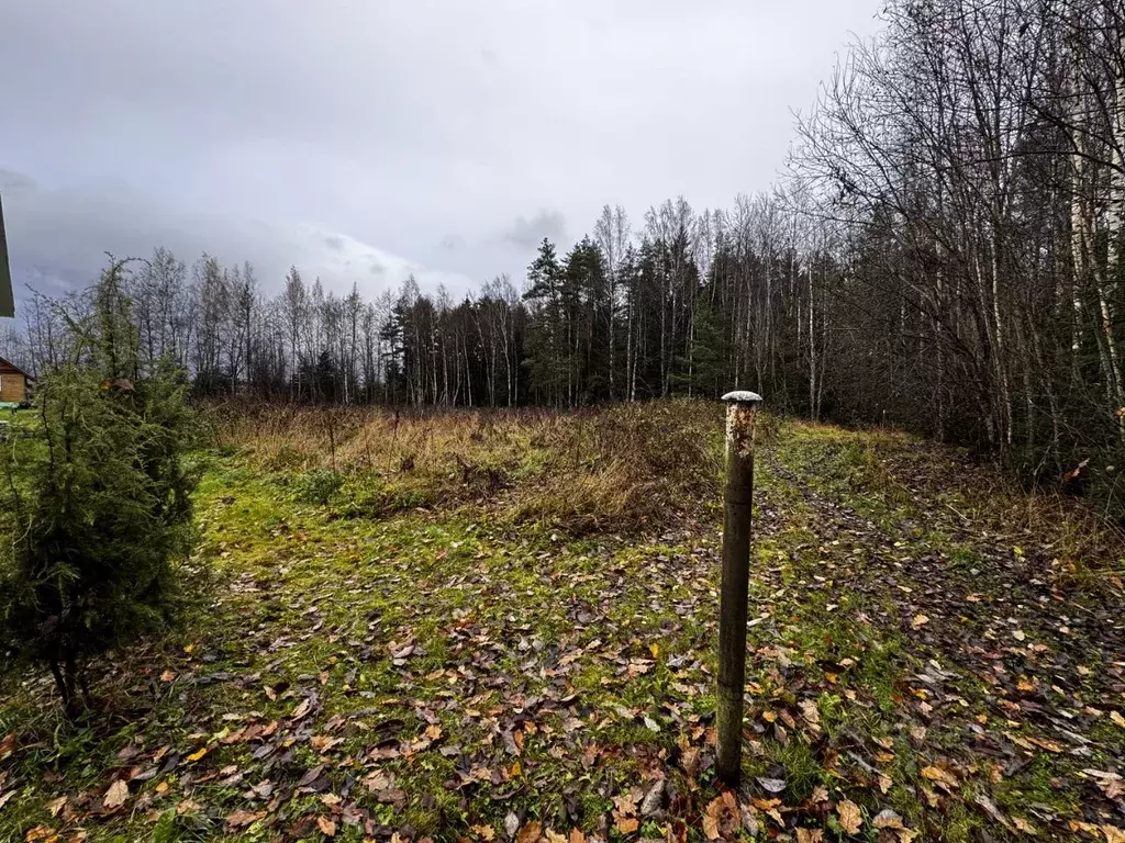 Участок в Ленинградская область, Тосненский район, Любанское городское ... - Фото 2