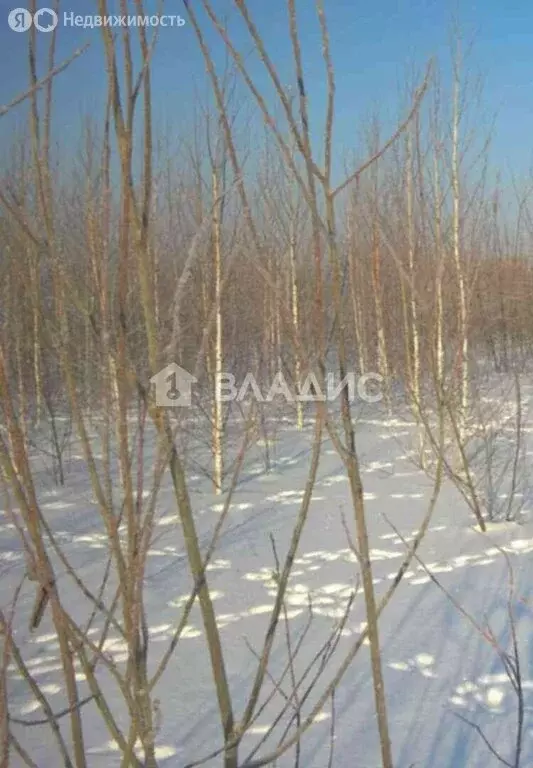 Участок в Нижегородская область, муниципальный округ Бор, деревня ... - Фото 2