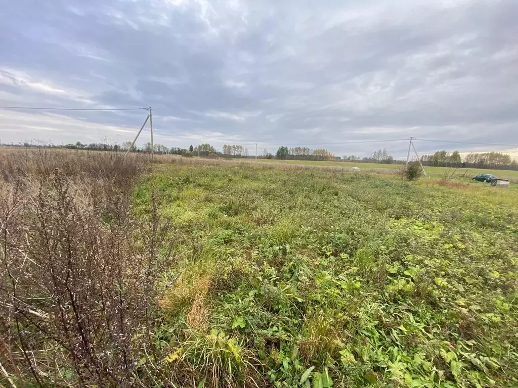 Участок, 11.1 сот., поселения (ижс) - Фото 2