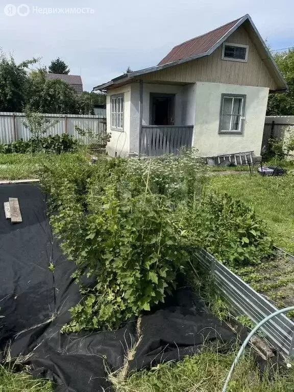 Дом в Калининградская область, Багратионовский муниципальный округ, ... - Фото 2