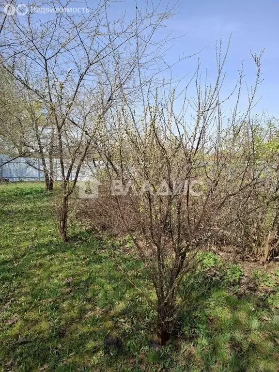 Участок в Суздаль, Михайловская улица, 76 (11 м) - Фото 1
