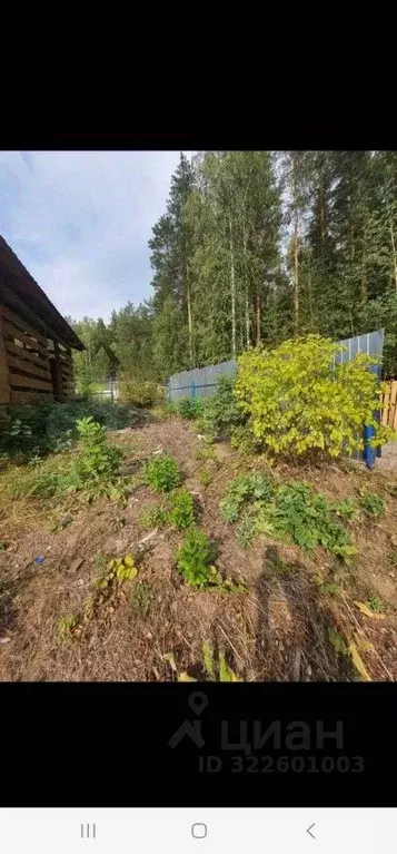 Дом в Свердловская область, Невьянский муниципальный округ, Медея СНТ  ... - Фото 2
