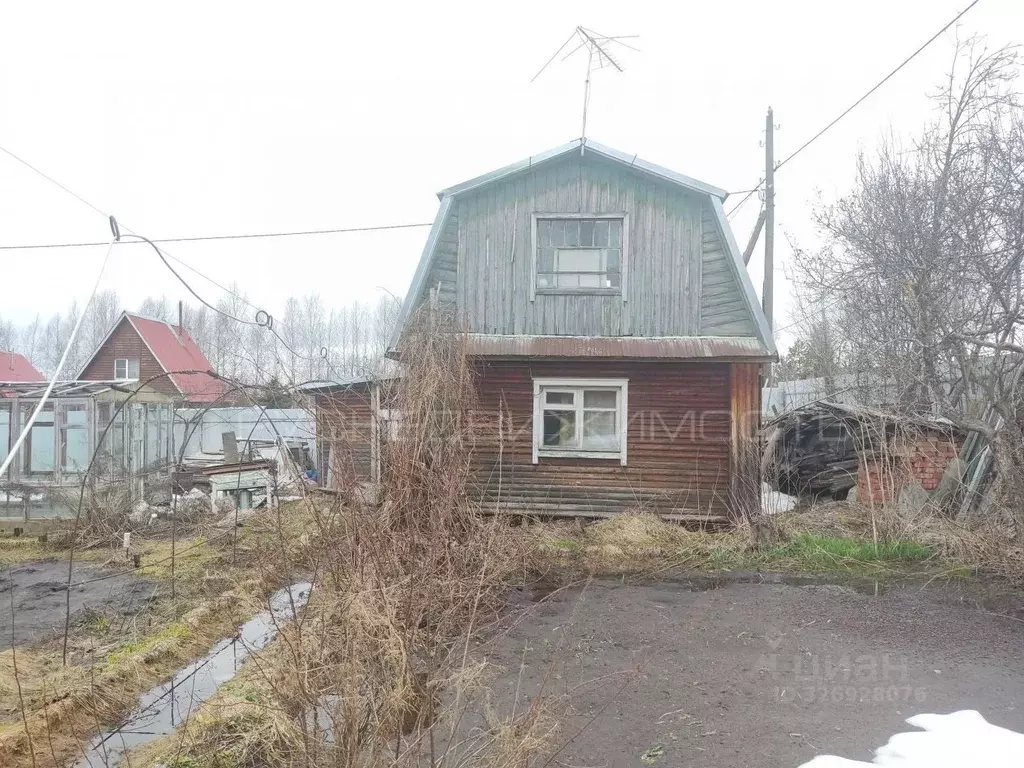 Участок в Кировская область, Юрьянский район, Загарское с/пос, Березка ... - Фото 1