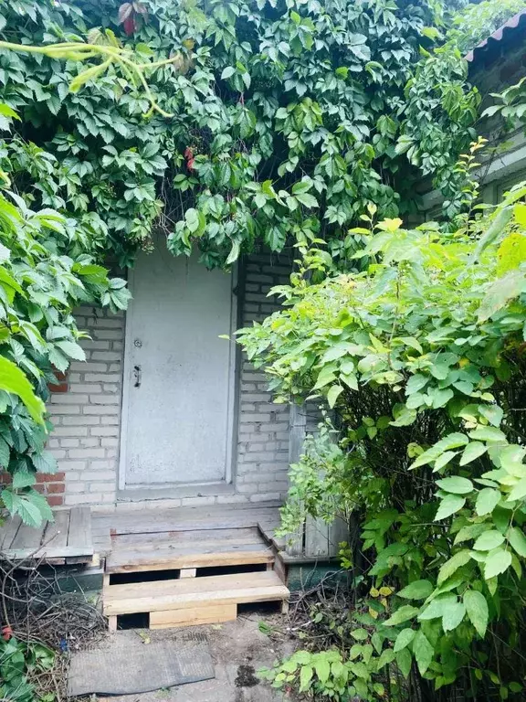 Дом в Московская область, Богородский городской округ, д. Молзино ул. ... - Фото 2