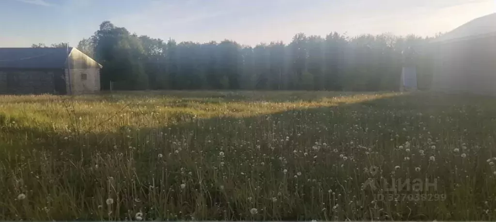 Участок в Башкортостан, Бирск  (10.0 сот.) - Фото 1