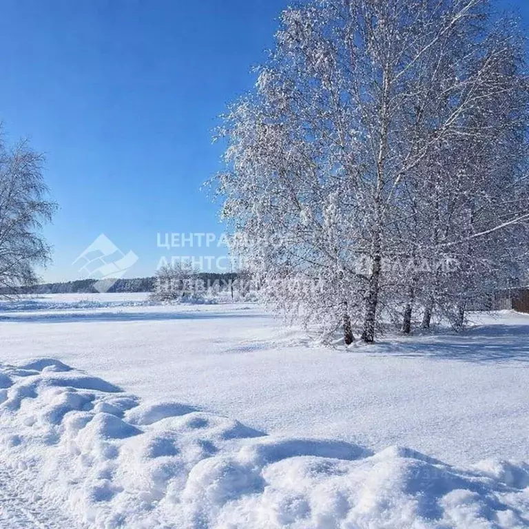 Участок в Рязанская область, Рязанский муниципальный округ, с. ... - Фото 1