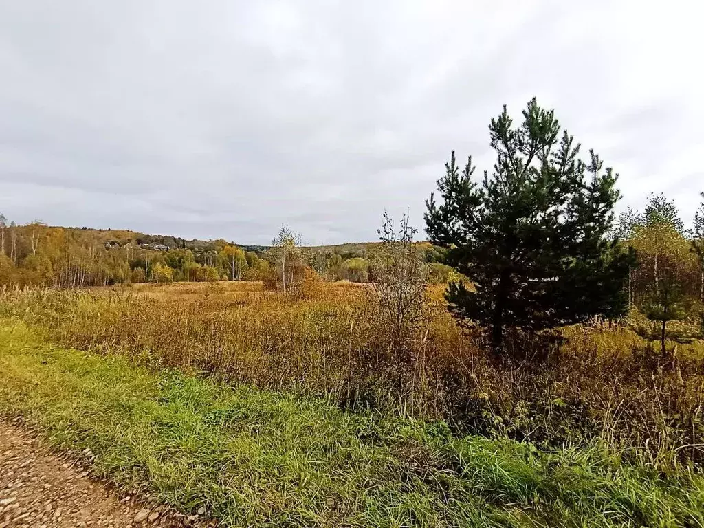 Участок в Калужская область, Город Калуга городской округ, д. Матюнино ... - Фото 0