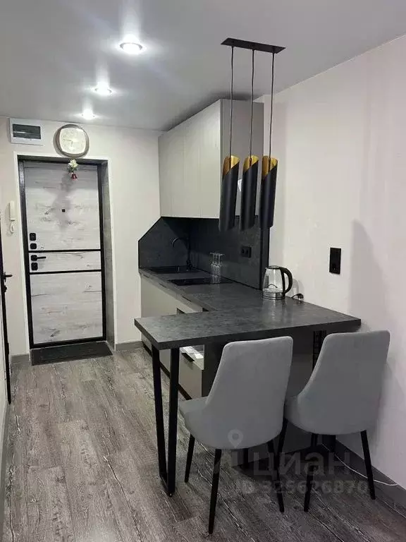 Студия Приморский край, Арсеньев Октябрьская ул., 14/2 (20.0 м) - Фото 2