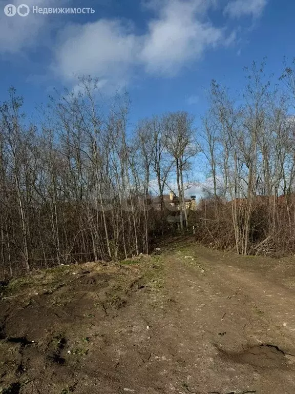 Участок в Ленинаван, Лесопарковая улица (6.14 м) - Фото 1