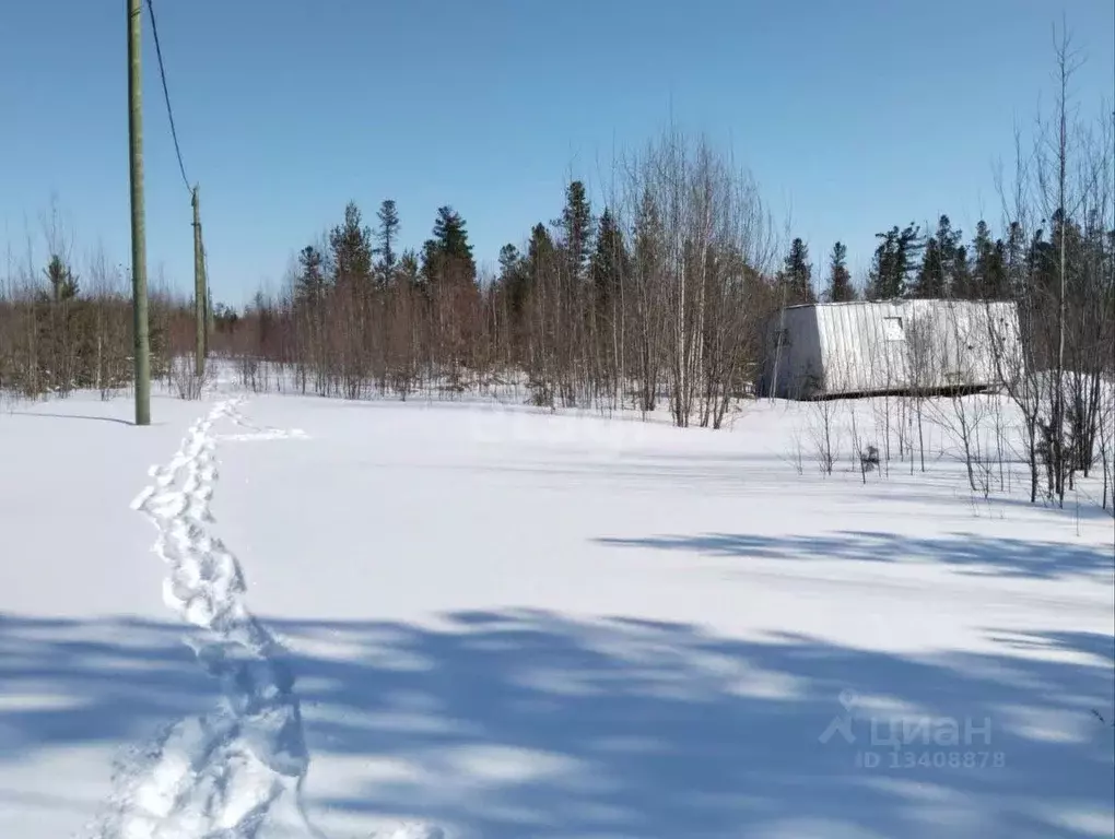 Участок в Ханты-Мансийский АО, Ханты-Мансийск Учитель-3 СОТ,  (14.1 ... - Фото 0