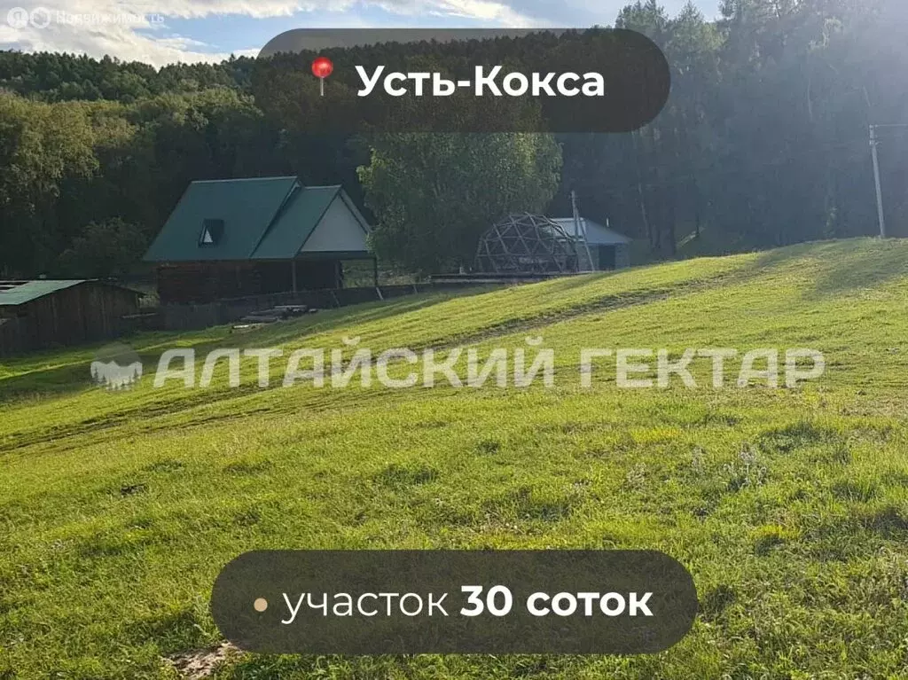 Участок в село Усть-Кокса, Берёзовая улица (30 м) - Фото 0