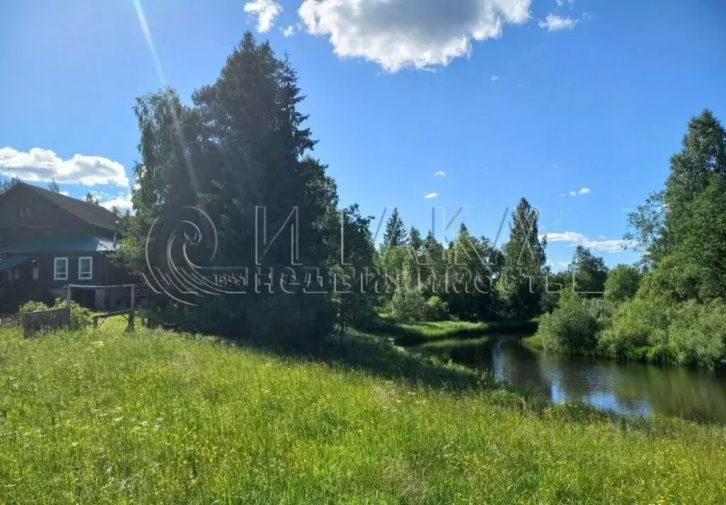 Дом в Ленинградская область, Бокситогорский район, Ефимовское ... - Фото 1