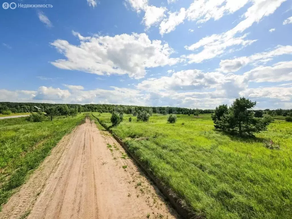 Участок в Ишимский район, посёлок Детский Дом № 29 (15 м) - Фото 1