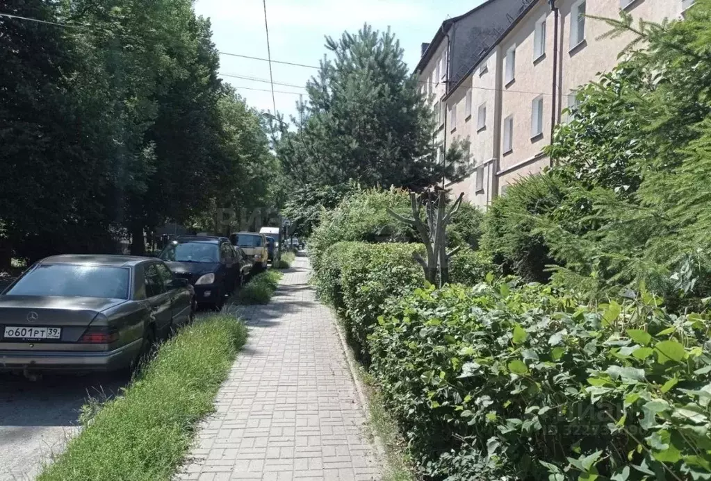 1-к кв. Калининградская область, Калининград Тихорецкая ул., 45 (23.5 ... - Фото 1