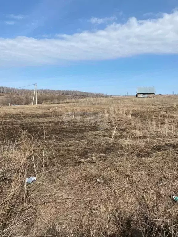Участок в Кемеровская область, Кемеровский муниципальный округ, с. ... - Фото 0