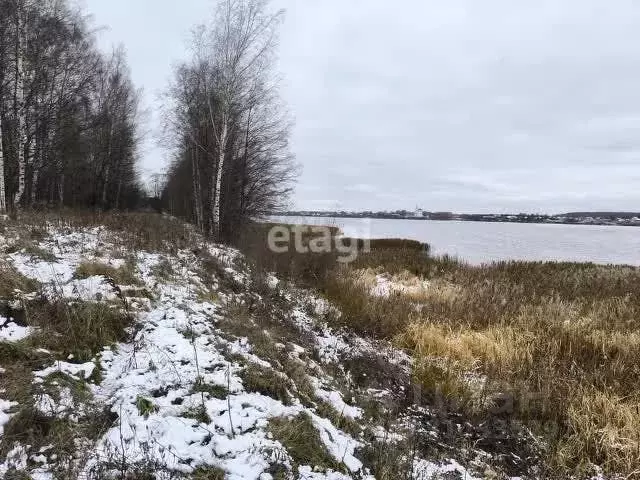 Участок в Ярославская область, Некрасовское с/пос, д. Новые Ченцы  ... - Фото 0